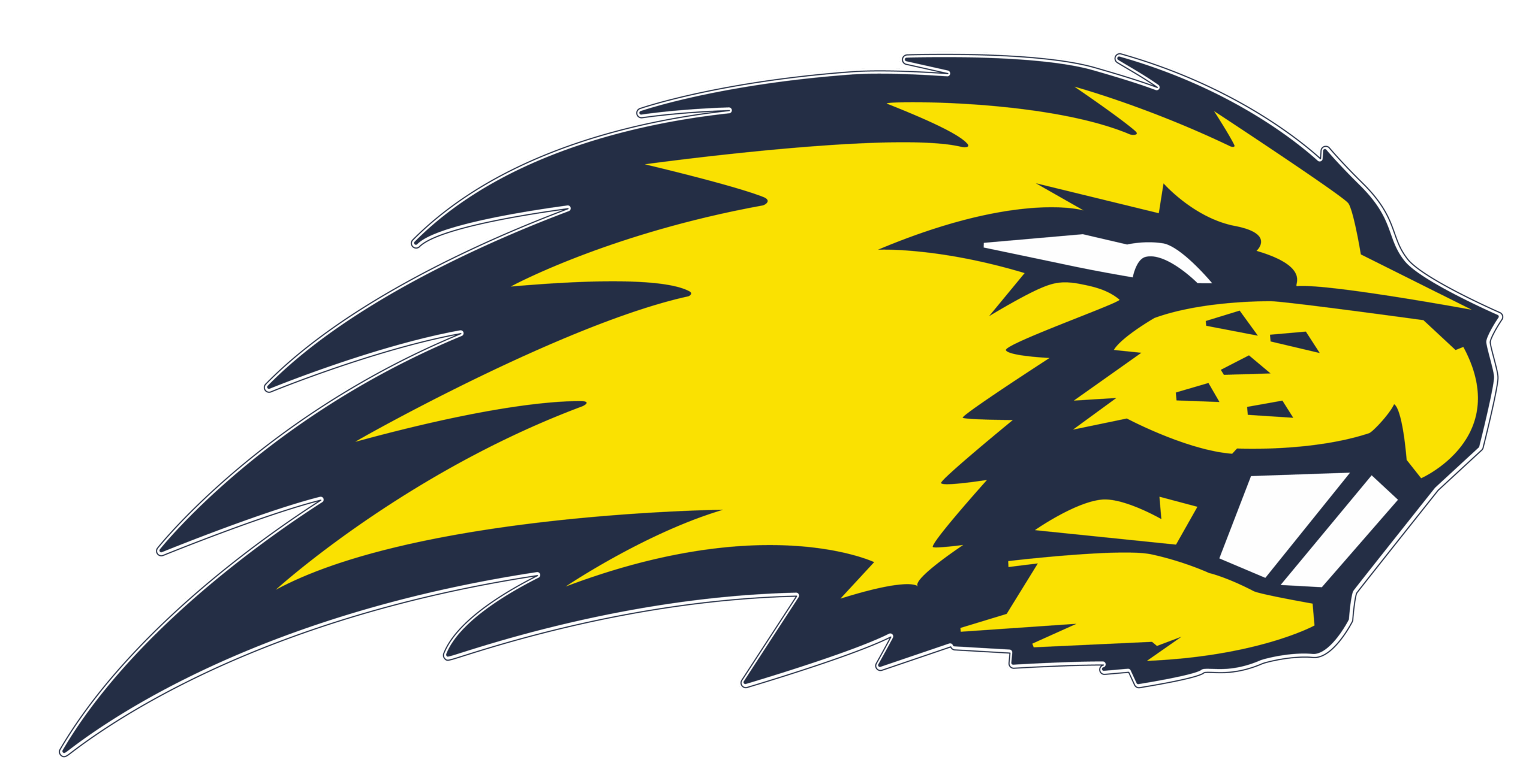 Biberach Beavers Logo