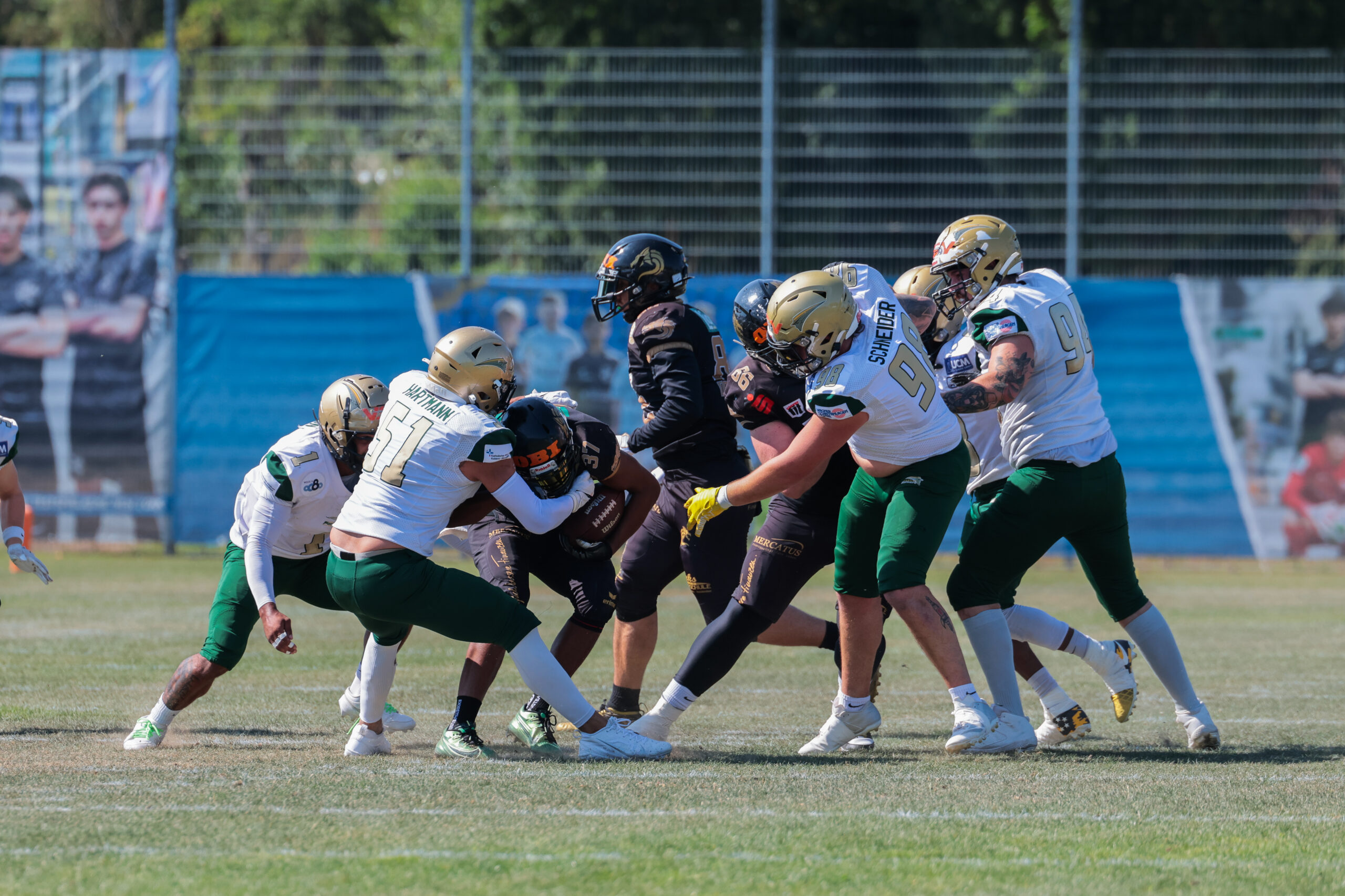 Starke Reaktion in Gießen: Farmers beenden Negativserie mit 42:13-Sieg